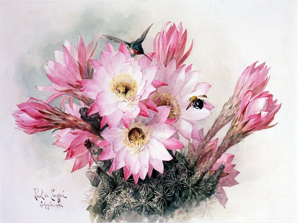 Tile Mural Still Life Of Flowers Blooming Cactus, 6"x8", Glossy