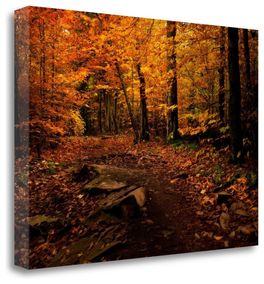 "Autumn Path" By Natalie Mikaels, Giclee Print on Gallery Wrap Canvas
