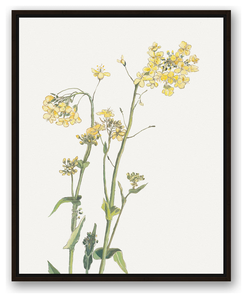 Yellow and Green Floral Botanicals 24x30 Walnut Floating Framed Canvas