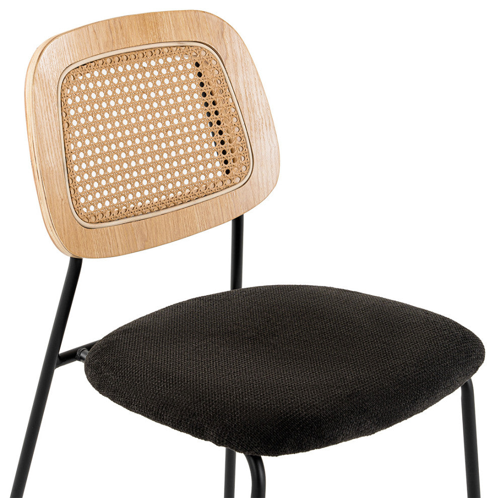 Modern Alizee Modern Rattan and Black Dining Chair Set of 2
