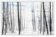 Parvez Taj "Thin Trees" Framed Painting Print, 18"x12"