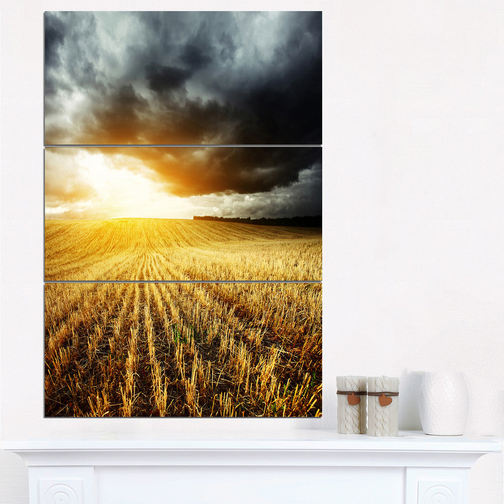 "Storm Dark Clouds Over Wheat Stems" Metal Wall Art, 3 Panels, 28"x36"