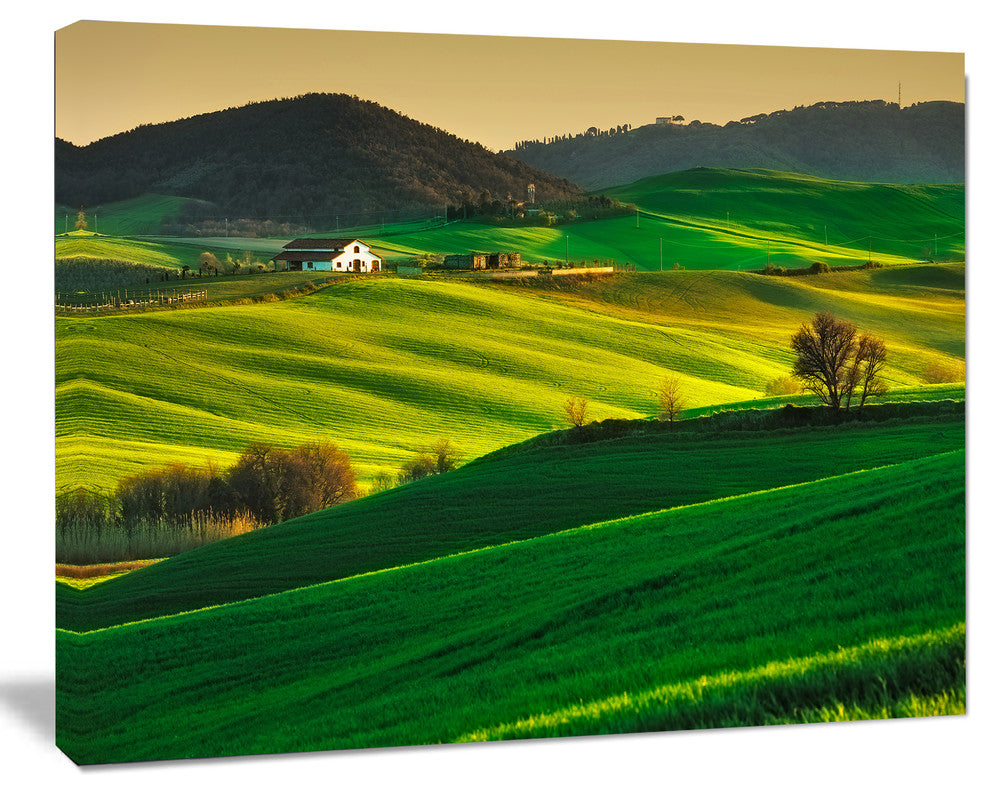 Trees and Farmland Near Volterra, Extra Large Landscape Canvas Art, 40"x30"