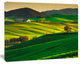 Trees and Farmland Near Volterra, Extra Large Landscape Canvas Art, 40"x30"