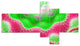 Snake Skin Exotic Flower, Abstract Wall Art Canvas, 60"x32", 5 panels