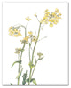 Yellow and Green Floral Botanicals 16x20 Canvas Wall Art