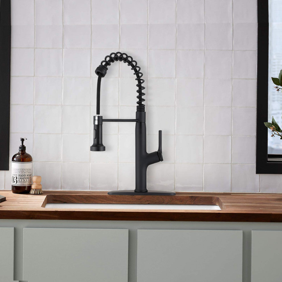 Single Handle Deck Mounted Spring Neck Kitchen Faucet with Pull out Sprayer, Mat