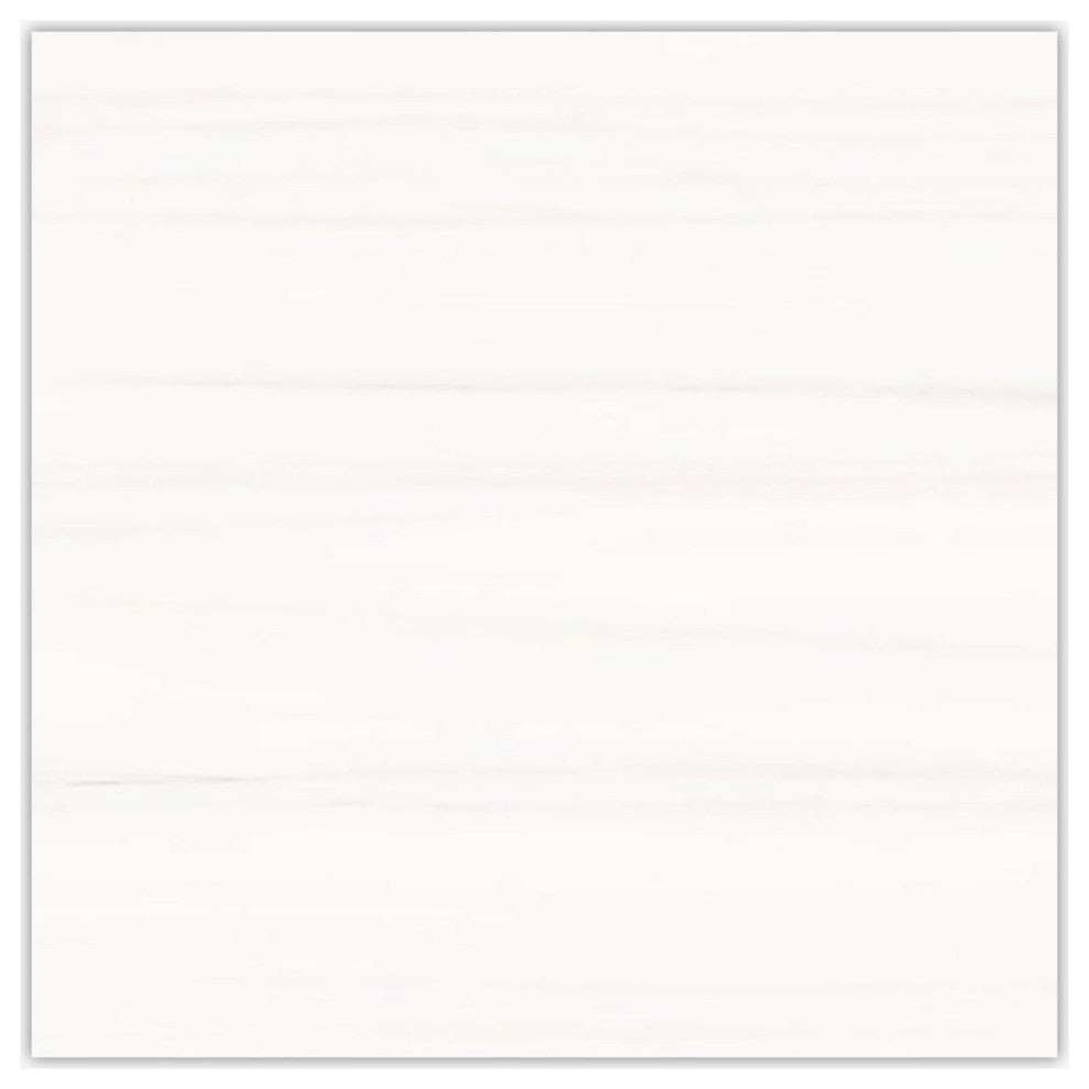 Premium Dolomite Matte 24x24 Porcelain Tile