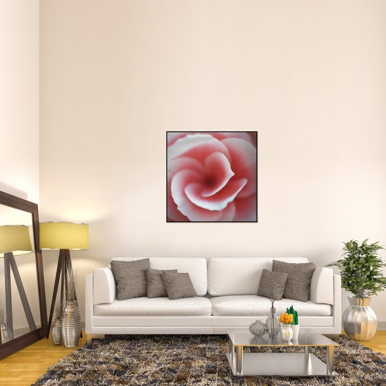 Begonia, 40"x40"