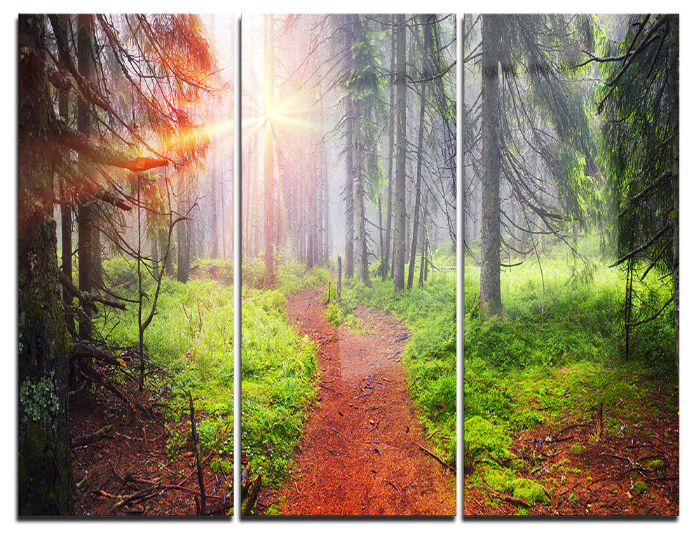 "Autumn Forest at Dawn" Photography Metal Wall Art, 3 Panels, 36"x28"