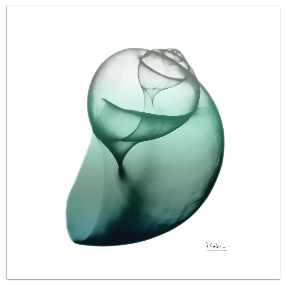 "Shimmering Snail I" Wall Art on Frameless Free Floating Tempered Glass Panel