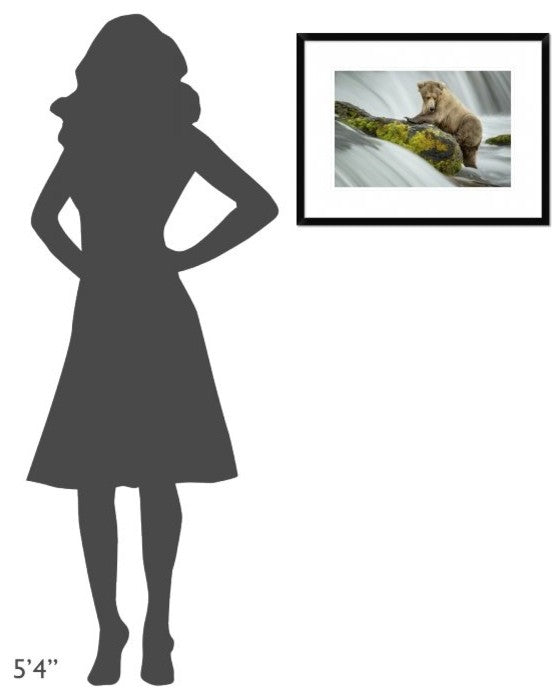 "Left Wanting" Framed Digital Print by Renee Doyle, 26"x20"
