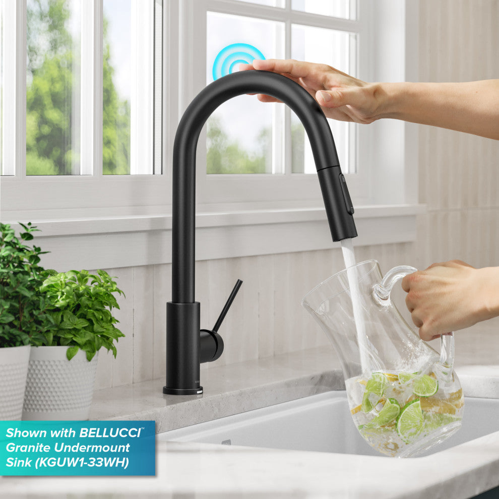 Oletto Pull-Down 1-Hole Kitchen Faucet, Matte Black, Model Ktf-3104mb