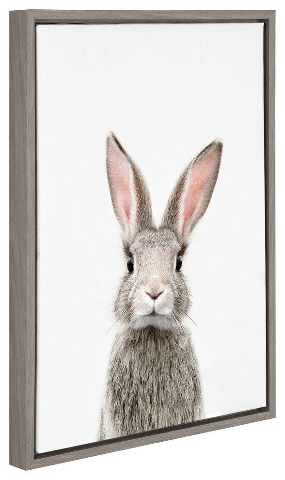 Sylvie F Baby Bunny Rabbit Animal Print Framed Canvas by Amy Peterson, 18x24