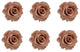 Large Preserved Roses, Set of 6, Antique Pink