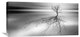 "Even The Dead Cast Shadows" Stretched Canvas Giclee by Leif Londal, 30x15"