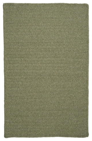 Colonial Mills Westminster WM60 Palm Traditional Area Rug, Rectangular 5'x8'