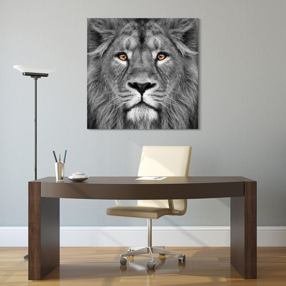 "King of the Jungle" Lion Wall Art Unframed Free Floating Tempered Glass 38 x 38