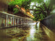 New Orleans "Wet Upper Square" Stretched Canvas Giclee, 18"x24"