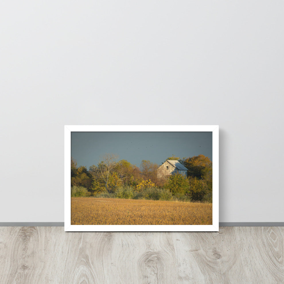 Abandoned Barn In The Trees Framed Photo Paper Wall Art Prints, White, 12" X 18"