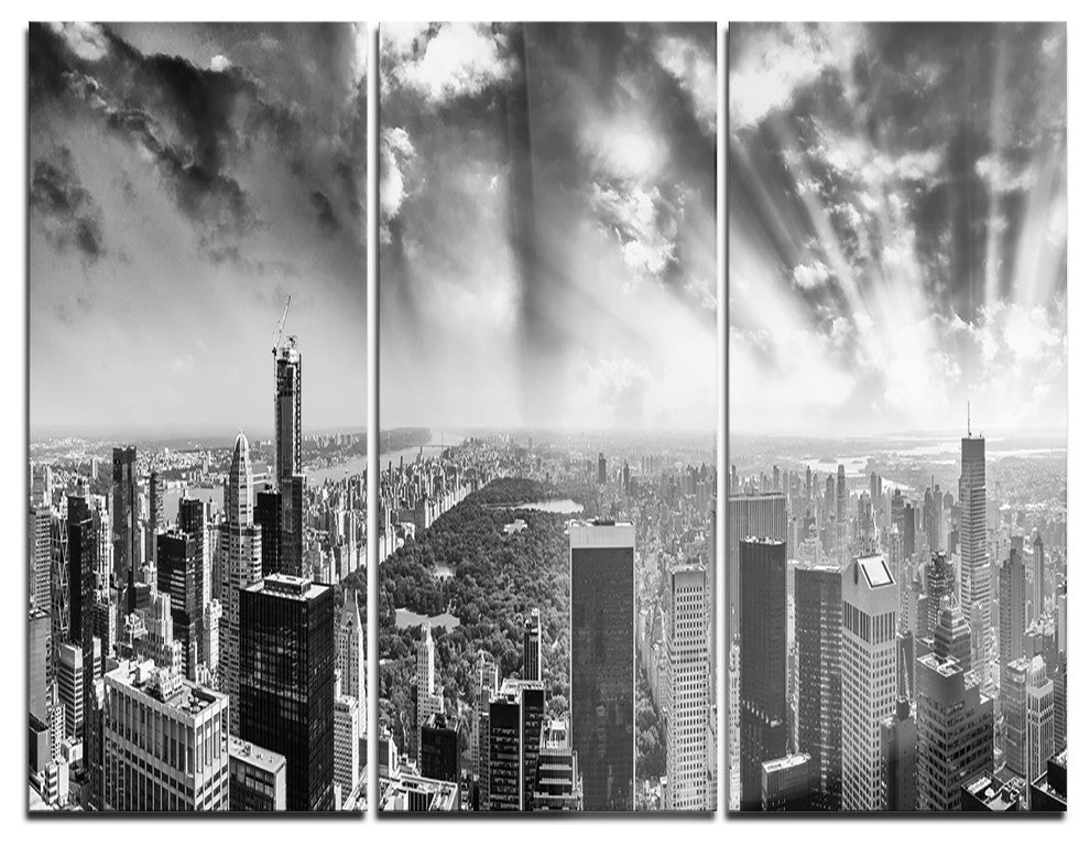 "Central Park and Surrounding Buildings" Metal Wall Art, 3 Panels, 36"x28"