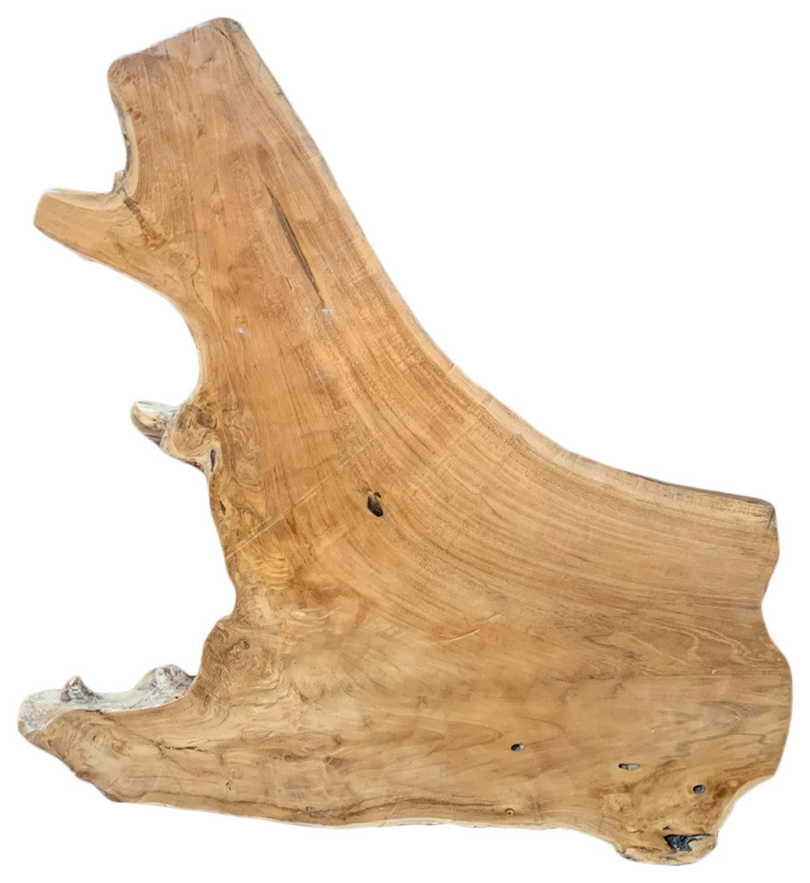 Organic Acacia Wood Slice