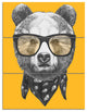 Funny Bear with Formal Glasses, Contemporary Animal Art Canvas, 28x36, 3 Panels