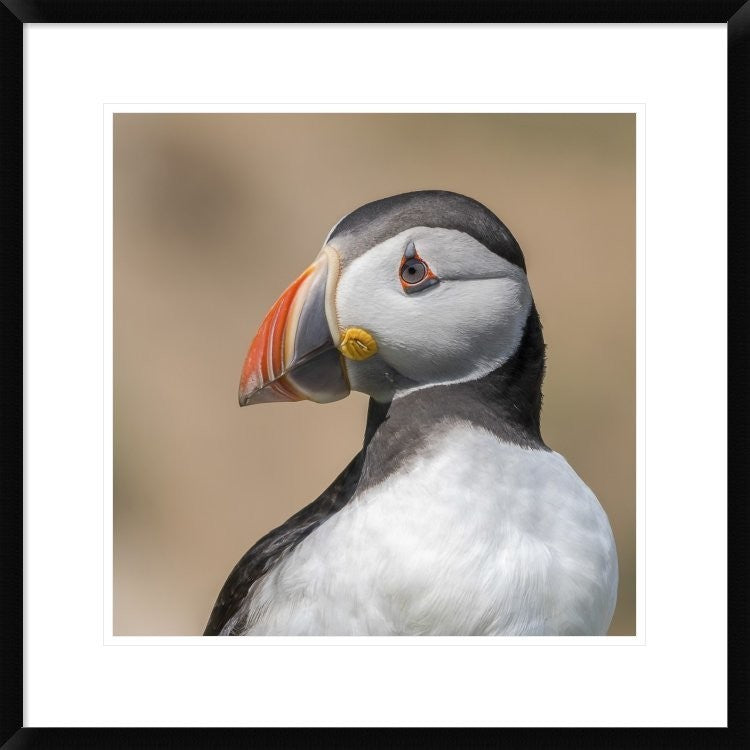 "Portrait" Framed Digital Print by Piotr Galus, 26"x26"