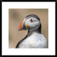 "Portrait" Framed Digital Print by Piotr Galus, 26"x26"