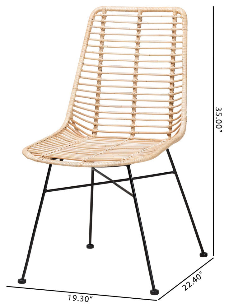 Rosalin Rattan and Metal Dining Chairs, Set of 2