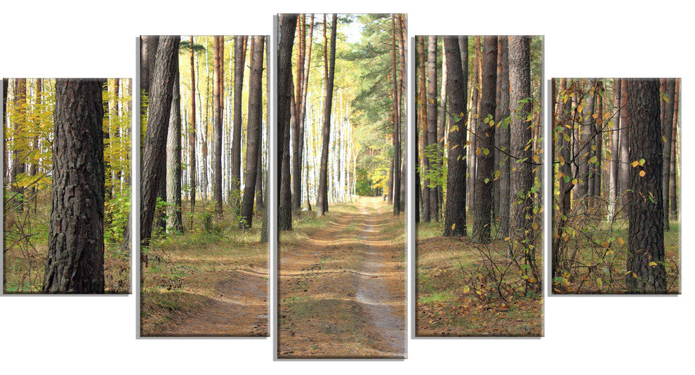 Pathway in Autumn Pine Forest, Modern Forest Canvas Art, 60"x32", 5 Panels