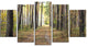 Pathway in Autumn Pine Forest, Modern Forest Canvas Art, 60"x32", 5 Panels