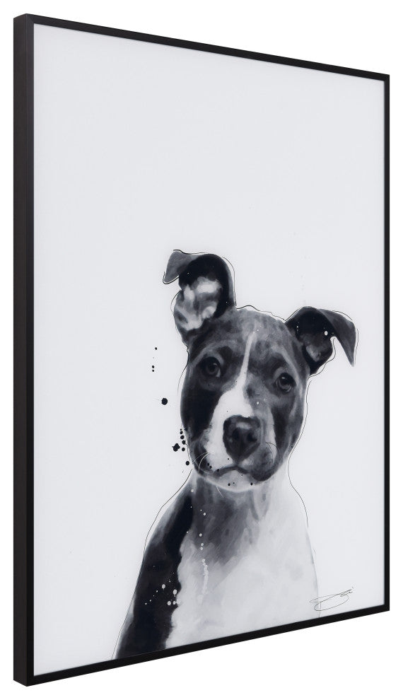 "Pitbull" Black and White Pet Art on Printed Glass Encased with Anodized Frame