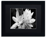 Kurt Shaffer 'Tuber Rose in Black and White' Matted Framed Art
