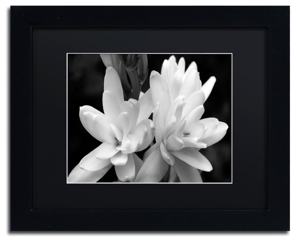 Kurt Shaffer 'Tuber Rose in Black and White' Matted Framed Art