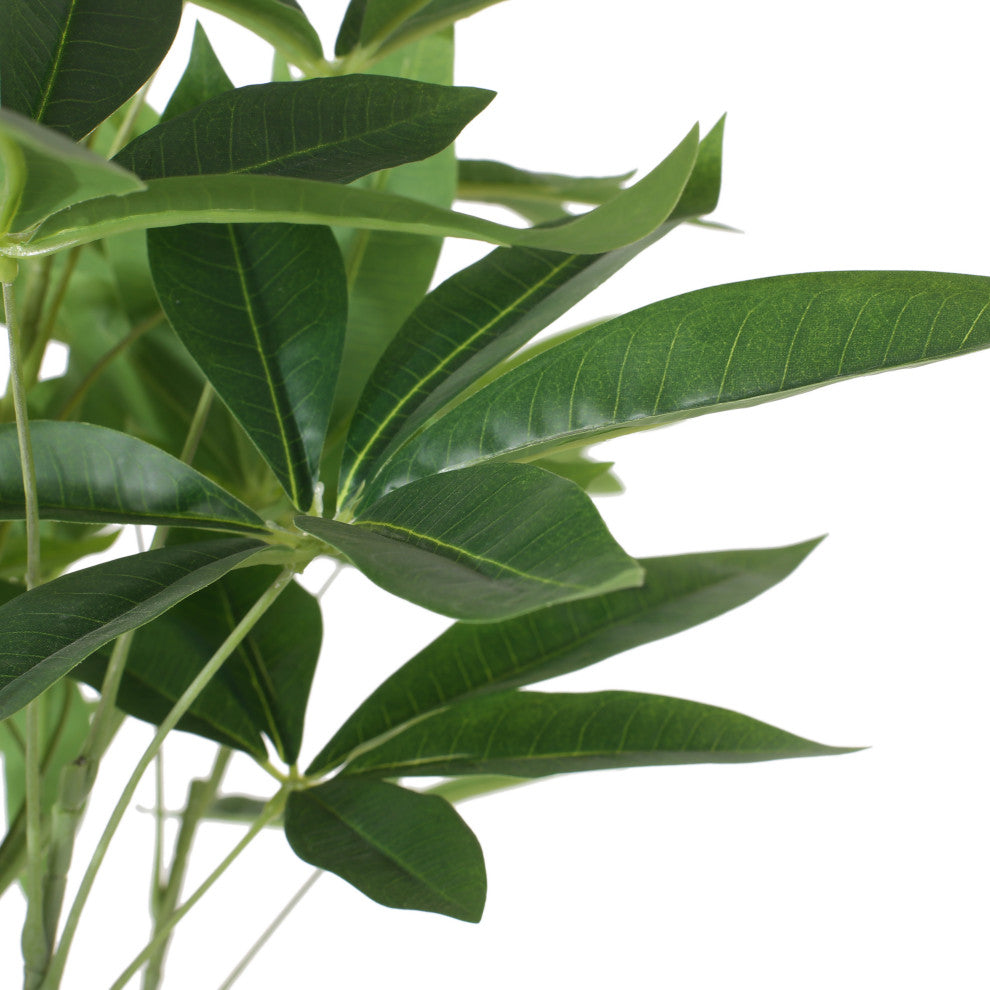 Coles Artificial Money Tree, Green, 35.4wx31.5dx70.9h