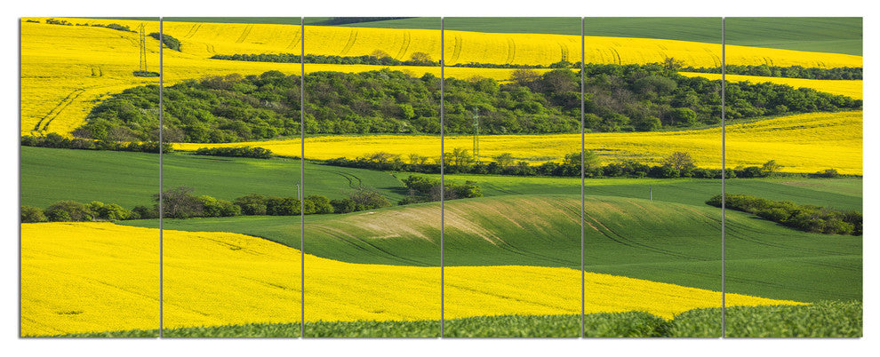 Rapeseed Fields and Green Wheat, Landscape Canvas Art Print, 70"x28", 6 Panels