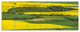 Rapeseed Fields and Green Wheat, Landscape Canvas Art Print, 70"x28", 6 Panels