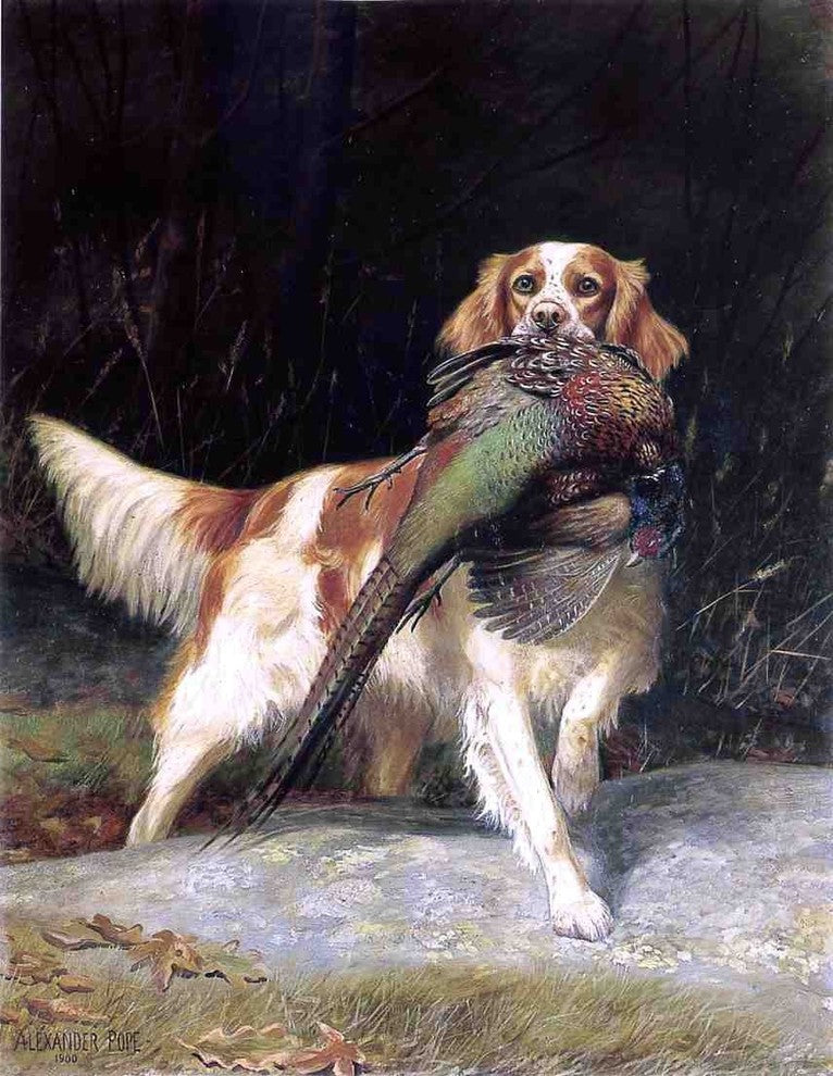 Alexander Pope Springer Spaniel With Pheasant, 21"x28" Wall Decal