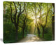 Evening in Green Forest, Large landscape Canvas Art Print, 60x40