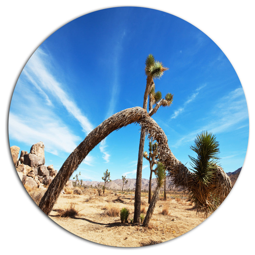 Curved Joshua Tree In Desert, Landscape Large Disc Metal Wall Art, 23"