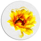 Yellow Watercolor Sunflower, Floral Round Wall Art, 23"