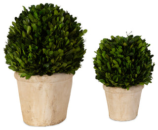 Two pots with domes on white background; whole product visible, but not the hero primary image.