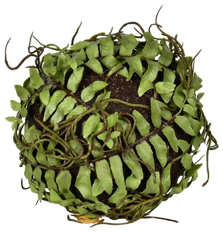 Vickerman 5"  Green Boston Fern Ball 2/Pk