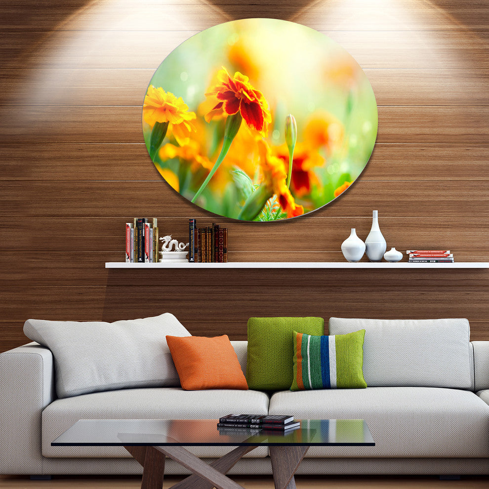 Orange Tagetes Marigold Flowers, Floral Round Metal Wall Art, 11"