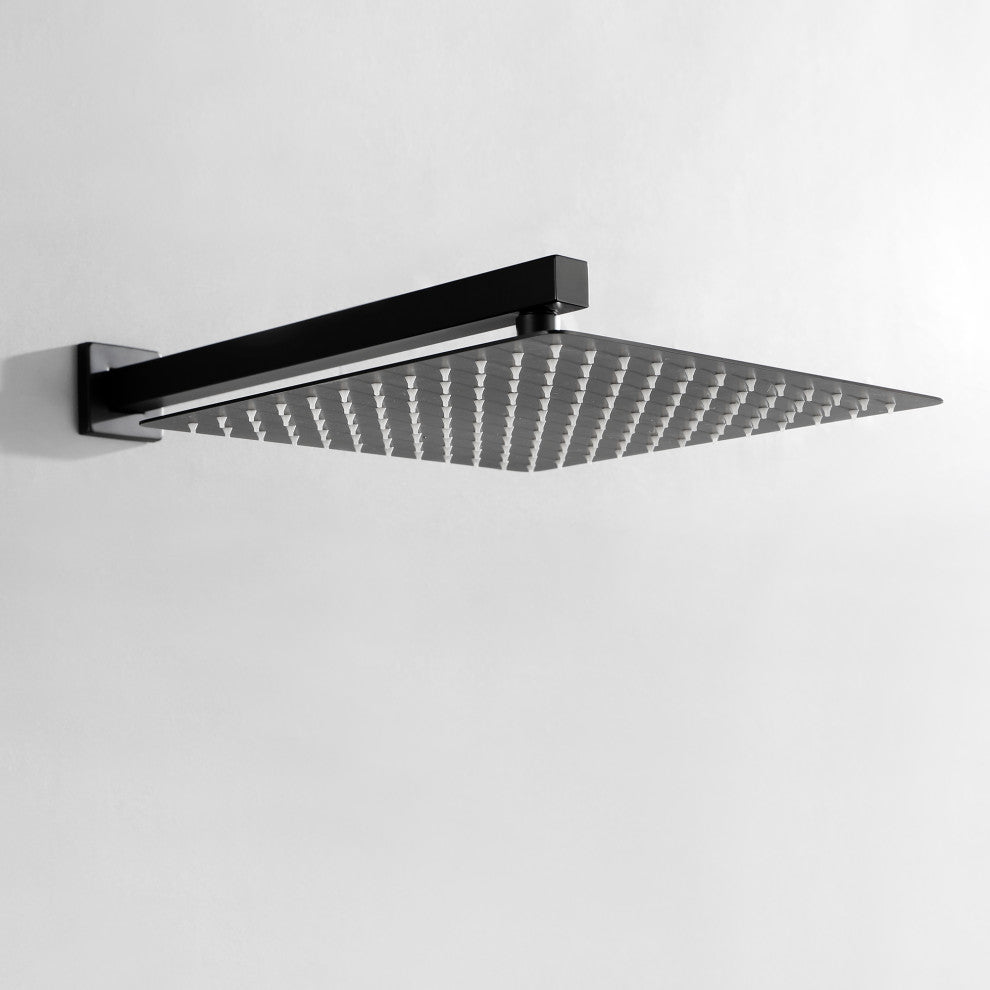 Wellfor Shower Faucet with Rain Shower Head, Handheld Shower and Valve, Black, 10" Shower Head