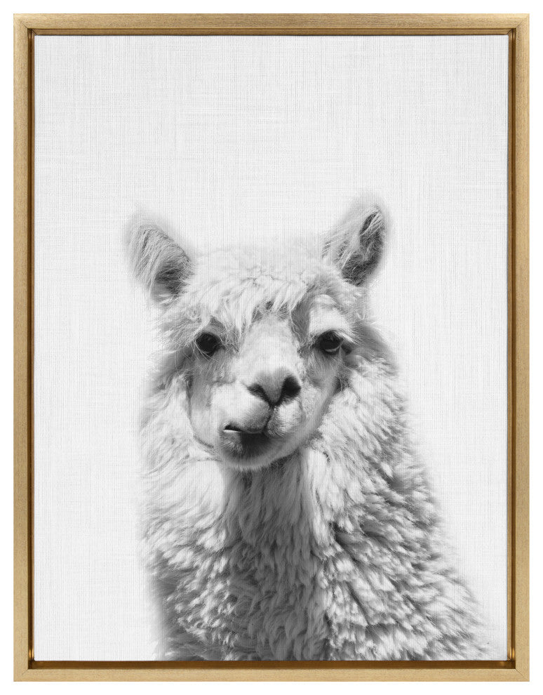 Sylvie Alpaca Portrait Framed Canvas By Simon Te Tai, Gold, 18x24