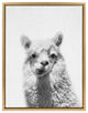 Sylvie Alpaca Portrait Framed Canvas By Simon Te Tai, Gold, 18x24