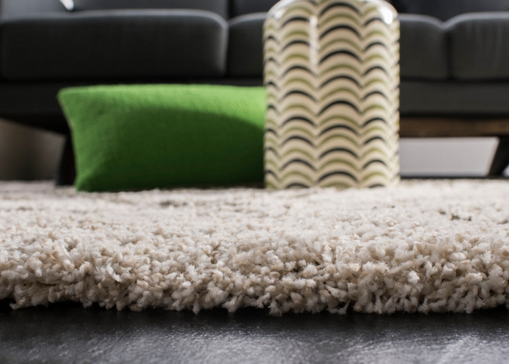 Safavieh  Hudson Shag Collection SGH281 Rug