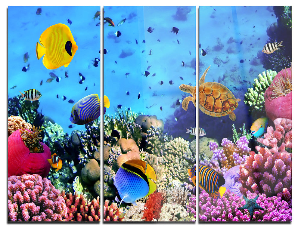 "Coral Colony and Coral Fishes" Photo Metal Wall Art, 3 Panels, 36"x28"